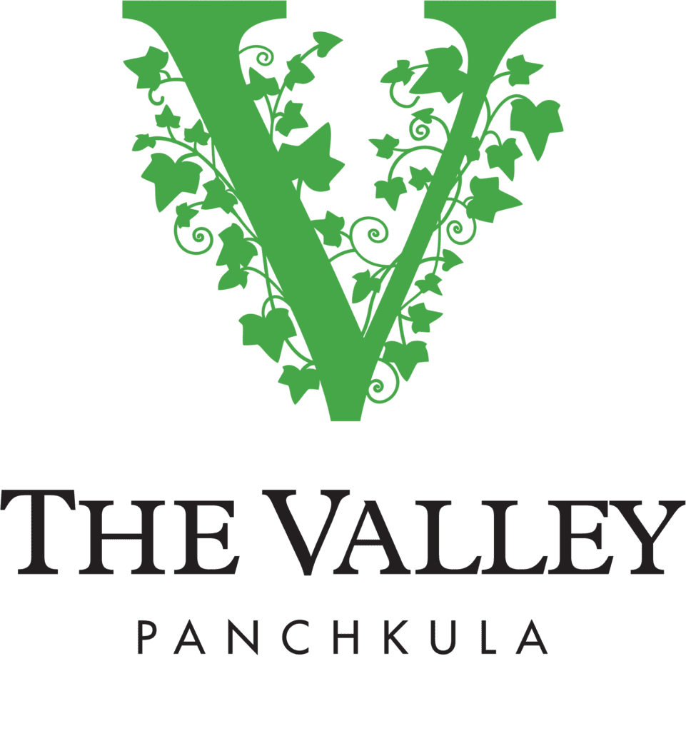 The Valley Panchkula Icon